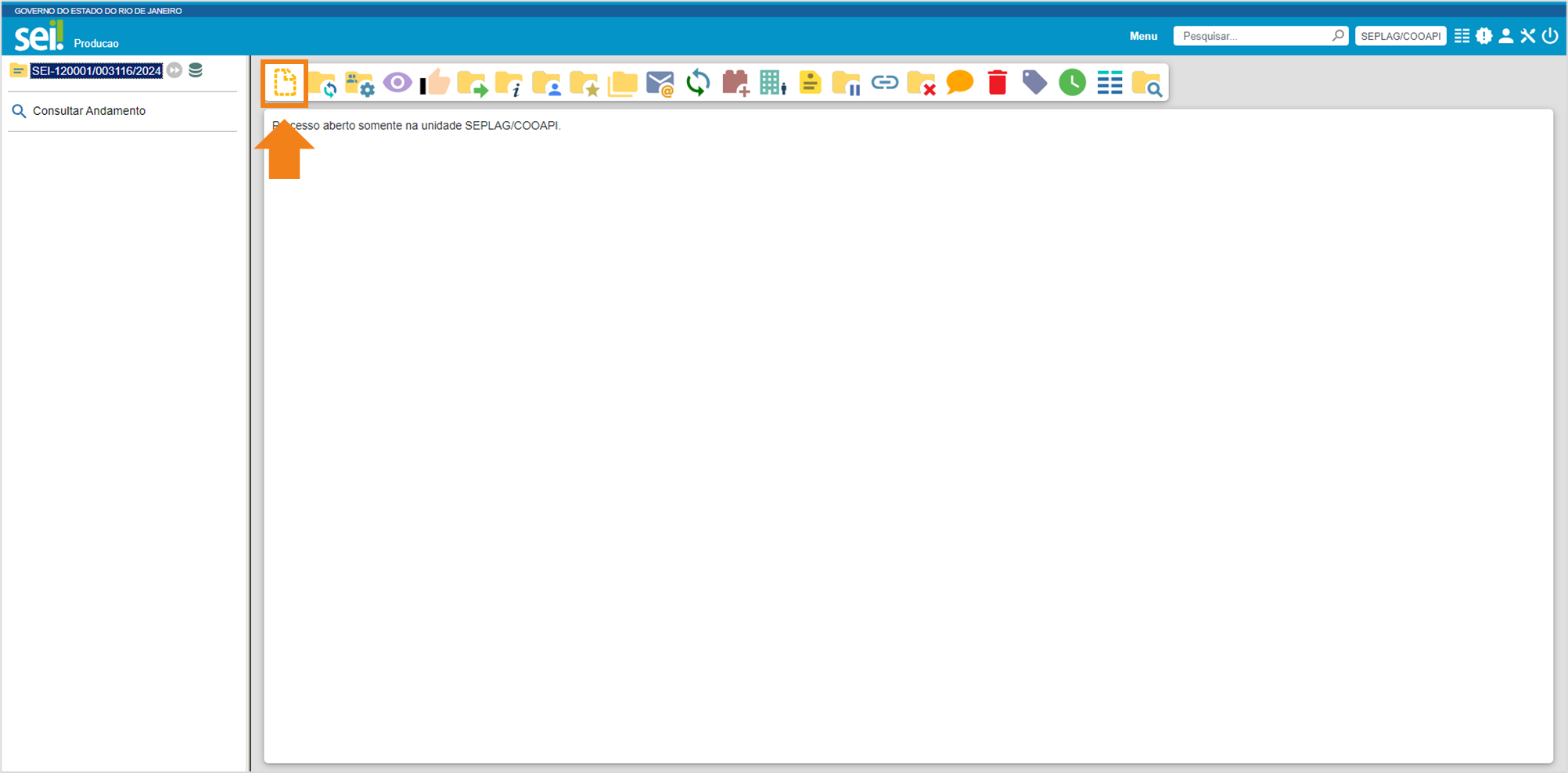 gestor de investimento suplente